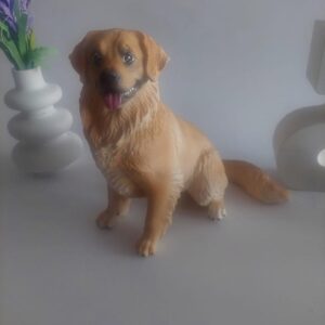 Vela golden retriever